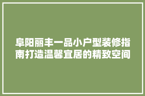 阜阳丽丰一品小户型装修指南打造温馨宜居的精致空间