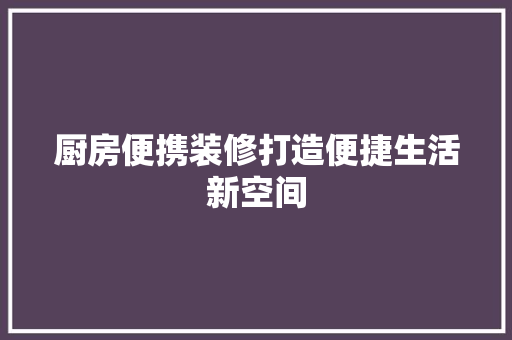 厨房便携装修打造便捷生活新空间