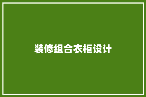 装修组合衣柜设计