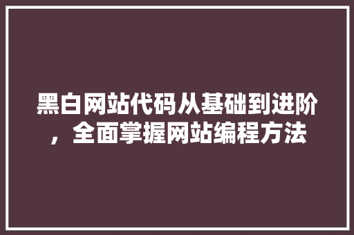 黑白网站代码从基础到进阶，全面掌握网站编程方法