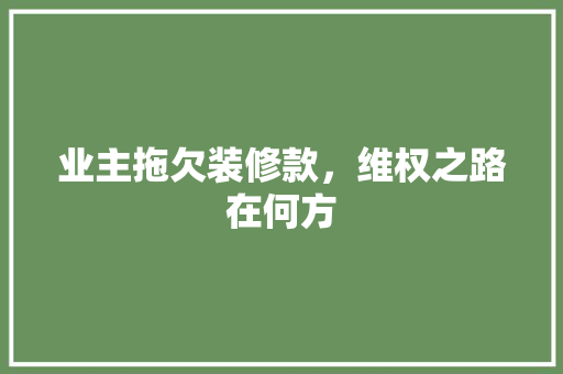 业主拖欠装修款，维权之路在何方