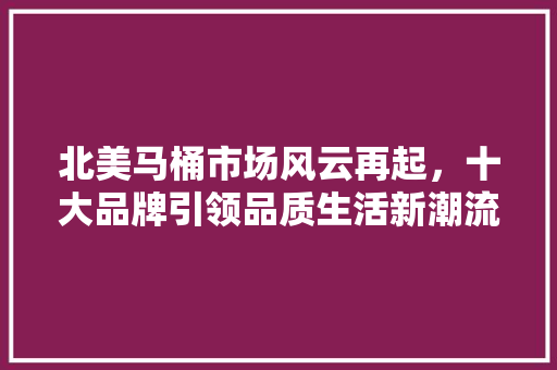 北美马桶市场风云再起，十大品牌引领品质生活新潮流