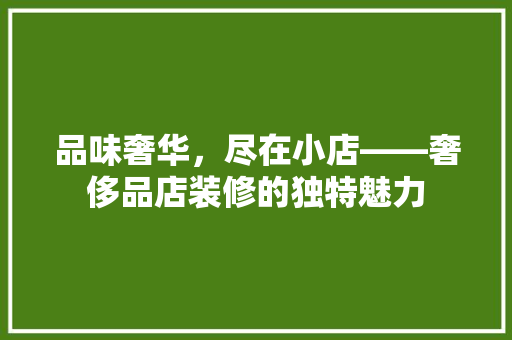 品味奢华，尽在小店——奢侈品店装修的独特魅力  第1张