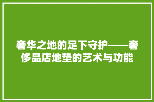 奢华之地的足下守护——奢侈品店地垫的艺术与功能  第1张