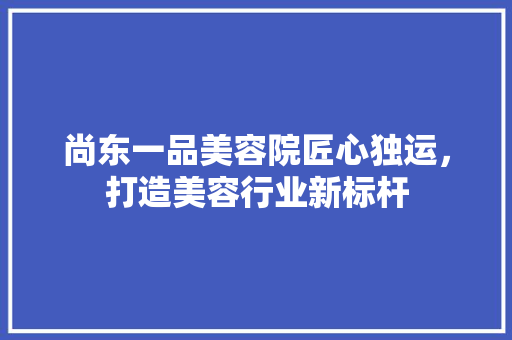 尚东一品美容院匠心独运，打造美容行业新标杆