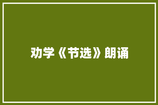 奢侈品店装修项目经理打造奢华空间的幕后英雄