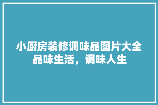 小厨房装修调味品图片大全品味生活，调味人生