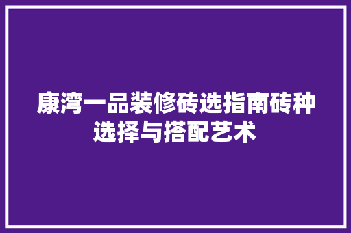康湾一品装修砖选指南砖种选择与搭配艺术