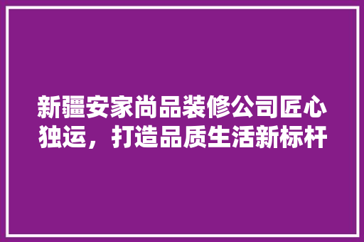 新疆安家尚品装修公司匠心独运，打造品质生活新标杆