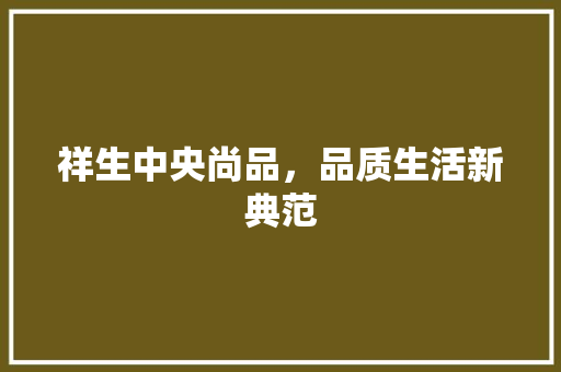 祥生中央尚品，品质生活新典范
