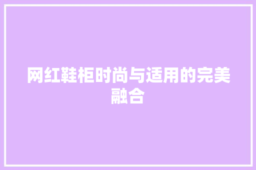 网红鞋柜时尚与适用的完美融合