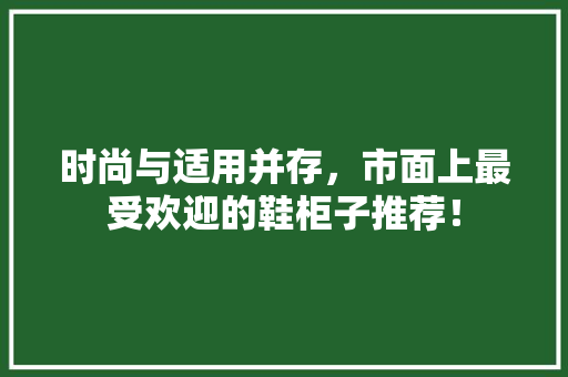 时尚与适用并存，市面上最受欢迎的鞋柜子推荐！  第1张
