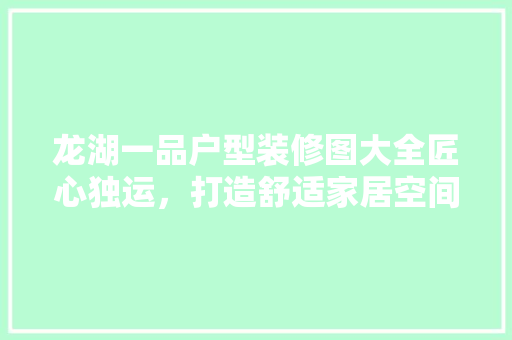 龙湖一品户型装修图大全匠心独运，打造舒适家居空间  第1张