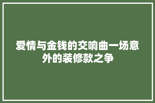 爱情与金钱的交响曲一场意外的装修款之争  第1张