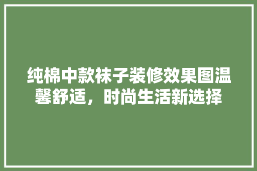 纯棉中款袜子装修效果图温馨舒适，时尚生活新选择