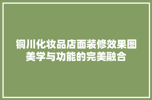铜川化妆品店面装修效果图美学与功能的完美融合