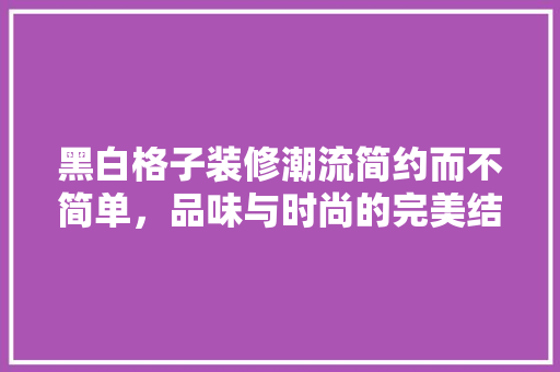 黑白格子装修潮流简约而不简单，品味与时尚的完美结合