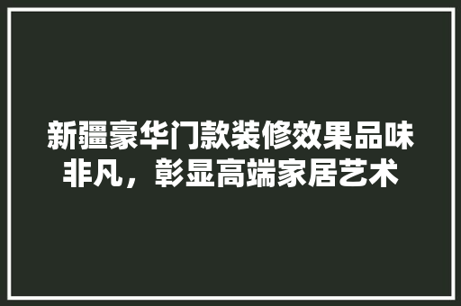 新疆豪华门款装修效果品味非凡，彰显高端家居艺术