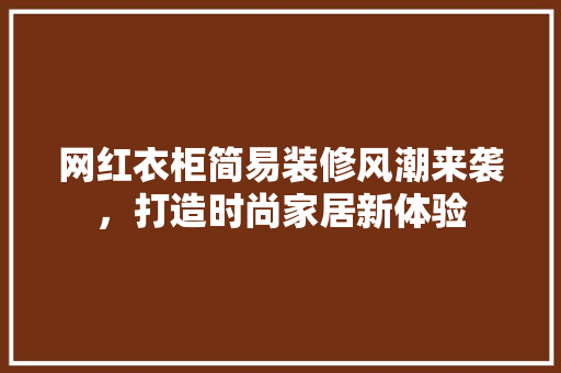 网红衣柜简易装修风潮来袭，打造时尚家居新体验