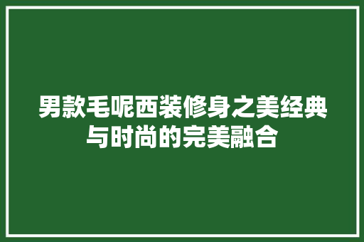 男款毛呢西装修身之美经典与时尚的完美融合