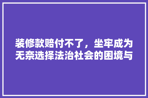 装修款赔付不了，坐牢成为无奈选择法治社会的困境与反思