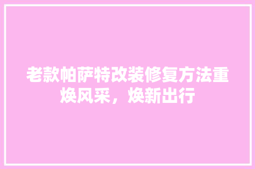 老款帕萨特改装修复方法重焕风采，焕新出行