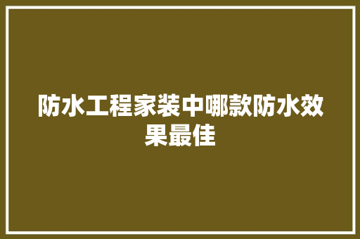 防水工程家装中哪款防水效果最佳