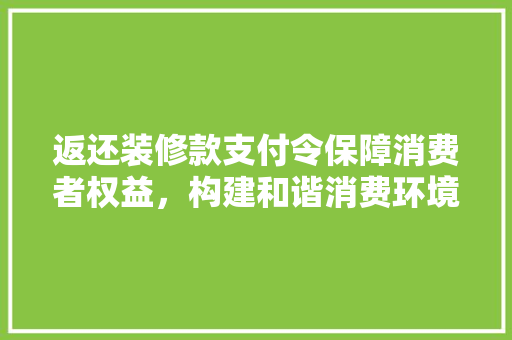 返还装修款支付令保障消费者权益，构建和谐消费环境