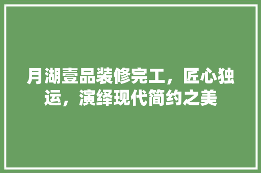 月湖壹品装修完工，匠心独运，演绎现代简约之美  第1张