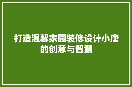 打造温馨家园装修设计小唐的创意与智慧