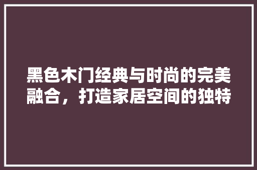 黑色木门经典与时尚的完美融合，打造家居空间的独特韵味  第1张