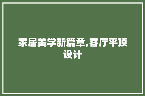 家居美学新篇章,客厅平顶设计