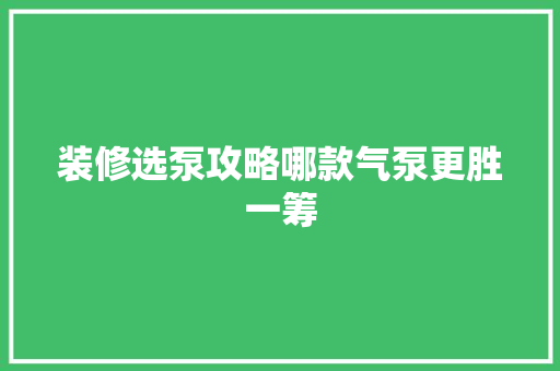 装修选泵攻略哪款气泵更胜一筹