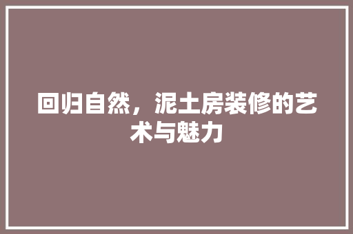 回归自然，泥土房装修的艺术与魅力
