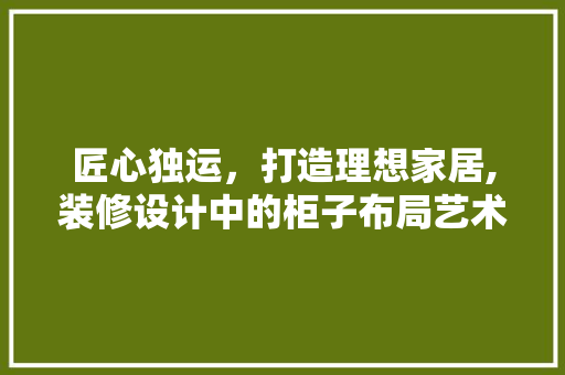 匠心独运，打造理想家居,装修设计中的柜子布局艺术