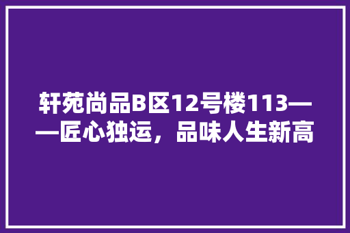 轩苑尚品B区12号楼113——匠心独运，品味人生新高度  第1张